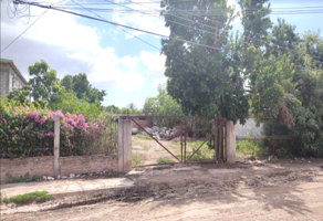Foto de inmueble en SIETE #11 MZ 92, Col. La Florida C.P. 81015, Guasave