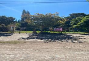 Foto de inmueble en Avenida de los Charales #00Int. 00, Col. Jocotepec Centro C.P. 45800, Jocotepec