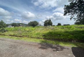 Foto de inmueble en LOMA BONITA, Col. Tecpa Morales C.P. 90833, La Magdalena Tlaltelulco