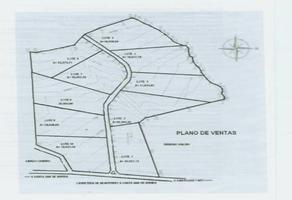 Foto de inmueble en  , Col. Ejido Juárez C.P. 67256, Juárez