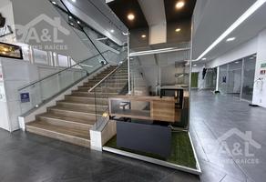 Foto de inmueble en  , Col. El Olmo C.P. 91194, Xalapa