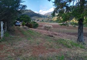 Foto de inmueble en El porvenir, Col. Campo Santiago C.P. 29419, Teopisca