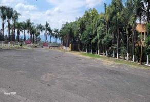 Foto de inmueble en  , Col. El Zapote Del Valle C.P. 45672, Tlajomulco de Zúñiga