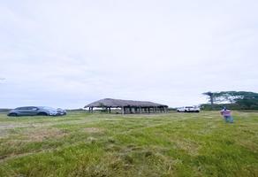 Foto de inmueble en  , Col. Encinal y Mesa C.P. 92080, Ozuluama de Mascareñas