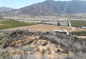 Foto de inmueble en Encuentro Guadalupe, Col. Francisco Zarco (Valle de Guadalupe) C.P. 22750, Ensenada