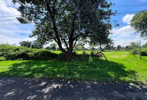 Foto de inmueble en HIMNO NACIONAL #S/N, Col. Barranco C.P. 90120, Ixtacuixtla de Mariano Matamoros