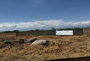 Foto de inmueble en 62756 Peña Flores, Mor., Col. Peña Flores (Palo Verde) C.P. 62756, Cuautla