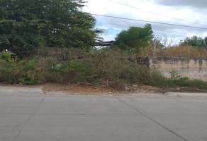 Foto de inmueble en Tamazula 3826, Buena Vista, 80014 Culiacán Rosales, Sin. #3826, Col. Amorada C.P. 80014, Culiacán