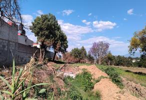 Foto de inmueble en LA PURISIMA, Col. Los Hornitos C.P. 90240, Hueyotlipan