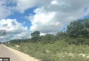 Foto de inmueble en 24653 Calakmul, Camp., Col. Balanku C.P. 24653, Calakmul