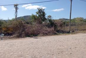 Foto de inmueble en Violetas, 63724 Rincón de Guayabitos, Nay. #80, Col. Nuevo Ixtlán (Las Cañadas) C.P. 63724, Compostela