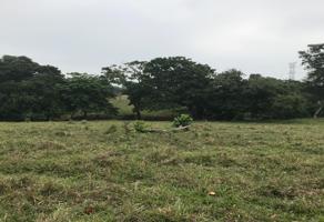Foto de inmueble en 86250 Playas del Rosario, Tab. #s/n, Col. Playas del Rosario (Subteniente García) C.P. 86288, Centro