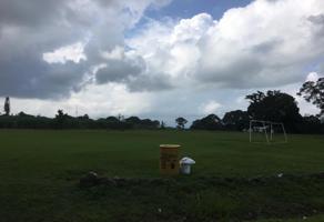 Foto de inmueble en Carretera federal cordoba - Veracruz  #Sn, Col. San Antonio Fraternidad C.P. 94954, Amatlán de los Reyes