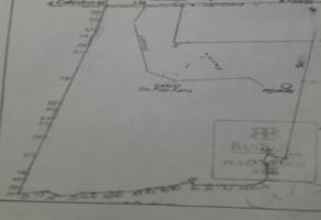 Foto de inmueble en Kinchil - Celestun, Kinchil, Yuc., Col. Kinchil C.P. 97360, Kinchil