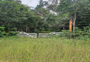 Foto de inmueble en  , Col. Felipe Carrillo Puerto Centro C.P. 77200, Felipe Carrillo Puerto