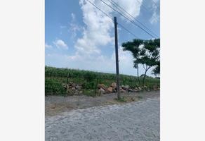 Foto de inmueble en Francisco I Madero camino a buenavista #PARCELA 405, Col. Los Cedros C.P. 45850, Ixtlahuacán de los Membrillos