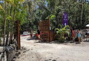 Foto de inmueble en , Col. Francisco May C.P. 77240, Felipe Carrillo Puerto