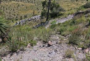 Foto de inmueble en  , Col. Guadalupe Libertad (Río Valiente) C.P. 75052, Tlachichuca