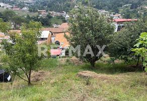 Foto de inmueble en Hermenegildo Galeana, Col. Potzontepec C.P. 51636, Sultepec