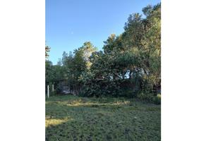 Foto de inmueble en Av las Carreras  #s/n, Col. San Miguel Regla C.P. 43500, Huasca de Ocampo