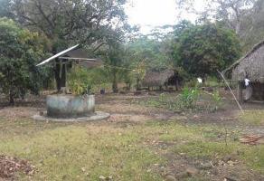 Foto de inmueble en  , Col. Hueyapan de Ocampo C.P. 95865, Hueyapan de Ocampo