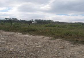 Foto de inmueble en  , Col. Industrial Apodaca C.P. 66614, Apodaca