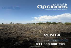 Foto de inmueble en  , Col. Irapuato C.P. 36590, Irapuato