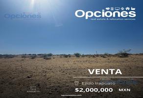 Foto de inmueble en  , Col. Irapuato C.P. 36590, Irapuato