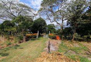 Foto de inmueble en  , Col. Ixcoalco C.P. 94273, Medellín de Bravo
