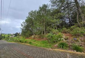Foto de inmueble en , Col. Ixtacamaxtitlán C.P. 73720, Ixtacamaxtitlán