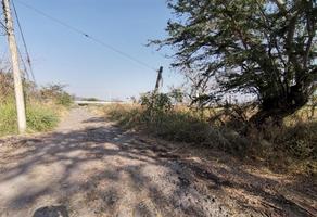 Foto de inmueble en Jacarandas, Col. San Miguel La Unión C.P. 62790, Xochitepec