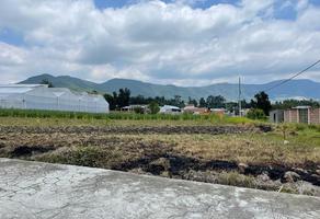 Foto de inmueble en KILOMETRO 7, Col. La Ocotalera C.P. 52410, Tenancingo