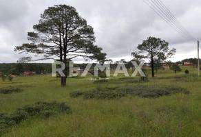 Foto de inmueble en L 5 M 14, Col. Ojo de Agua del Cazador (Cruz de Piedra) C.P. 34358, Durango