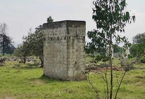Foto de inmueble en  , Col. La Capilla C.P. 56760, Ayapango