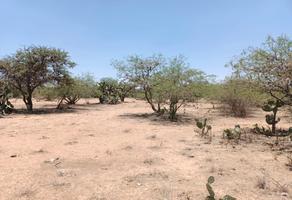 Foto de inmueble en  , Col. La Colorada C.P. 78483, Mexquitic de Carmona