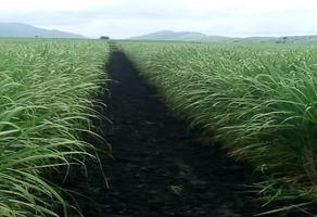 Foto de inmueble en  , Col. La Hincada C.P. 79236, Ciudad Valles