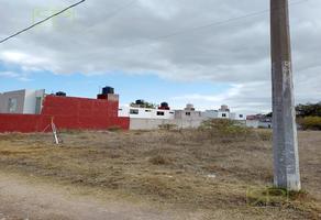 Foto de inmueble en , Col. La Joya C.P. 43763, Santiago Tulantepec de Lugo Guerrero