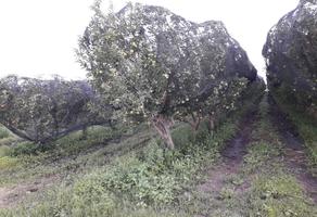 Foto de inmueble en  , Col. La Junta C.P. 31304, Chihuahua