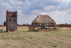 Foto de inmueble en  , Col. La Loma C.P. 47474, Lagos de Moreno