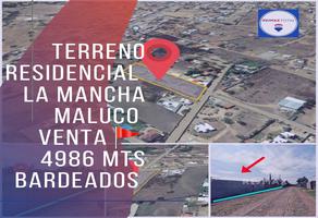 Foto de inmueble en La Mancha, Col. El Maluco C.P. 36263, Guanajuato