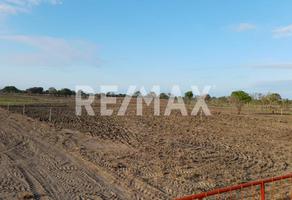 Foto de inmueble en La Pesca, Col. La Pesca C.P. 87678, Soto la Marina