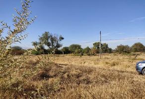Foto de inmueble en  , Col. La Piedrera C.P. 45690, El Salto