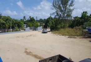 Foto de inmueble en Veinte de Noviembre, Col. La Rivera C.P. 23570, Los Cabos