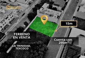 Foto de inmueble en  , Col. La Trinidad C.P. 56130, Texcoco