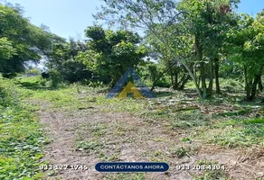 Foto de inmueble en Las Carolinas, Col. Comalcalco Centro C.P. 86300, Comalcalco