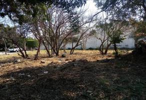 Foto de inmueble en * #*, Col. Las Fincas C.P. 62565, Jiutepec