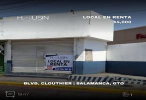 Foto de inmueble en  , Col. Las Reynas C.P. 36720, Salamanca