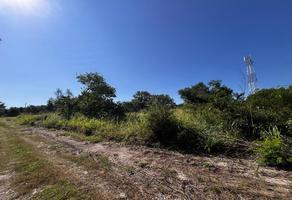 Foto de inmueble en  , Col. Lindavista C.P. 92037, Pueblo Viejo