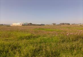 Foto de inmueble en  , Col. Lindavista C.P. 51356, Zinacantepec