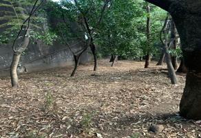 Foto de inmueble en Lluvia, Col. Jardines del Pedregal C.P. 01900, Álvaro Obregón